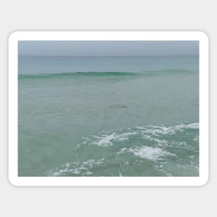 Gulf Water with Sting Ray 2 Sticker